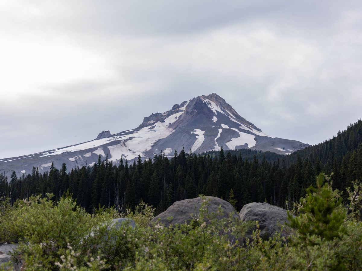 4 Day Plant Medicine Couple's Retreat in Ashland, Oregon 1