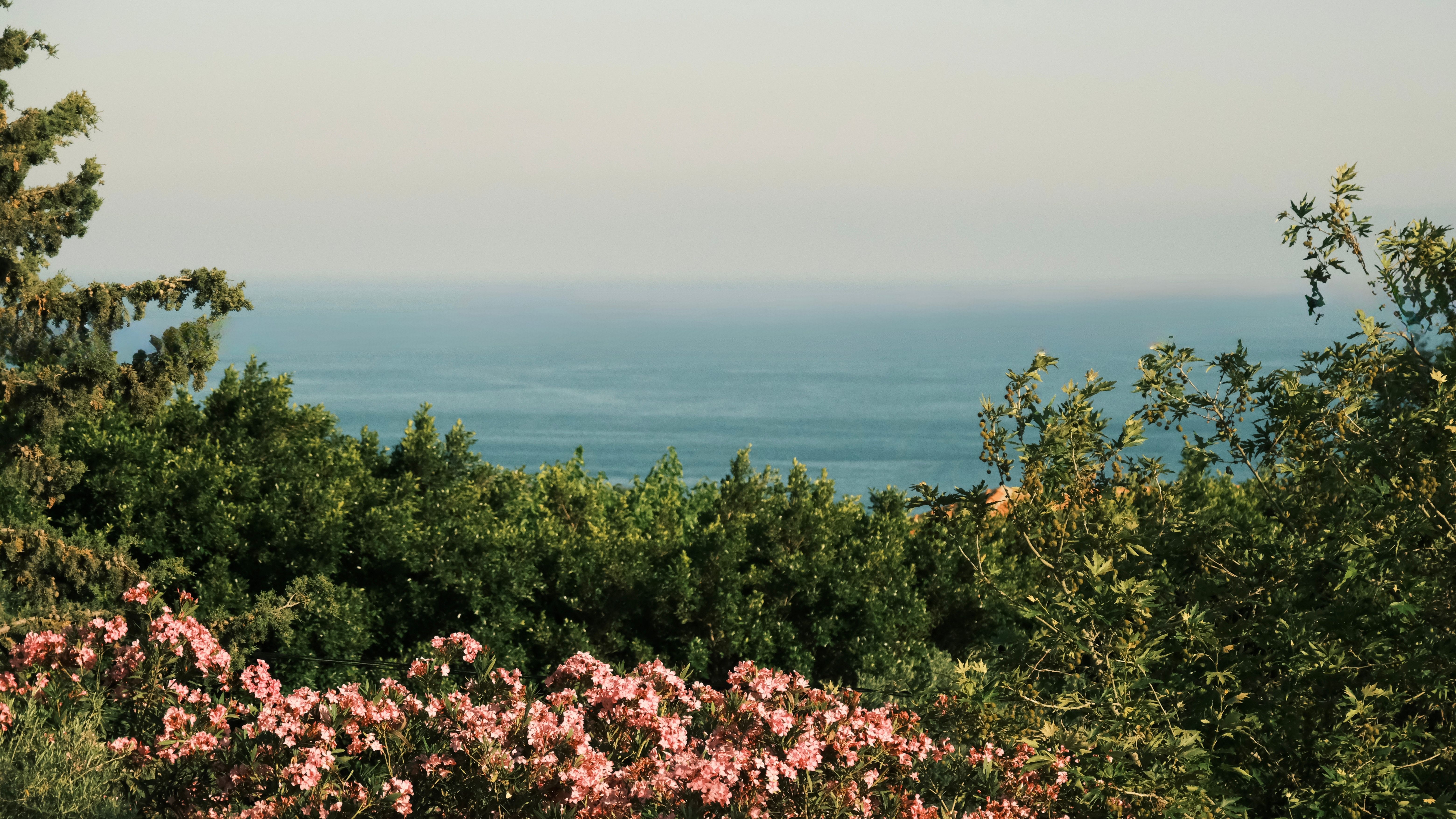 Lush garden surrounds with native coastal planting at Ocean Beach Hideaway, Denmark WA