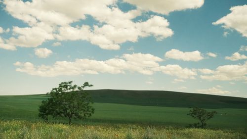 Free Beautiful landscape of a green field with clear blue skies and fluffy clouds, capturing the essence of summer. Stock Photo