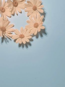 Artistic arrangement of daisies forming a circle on a cool pastel blue background.