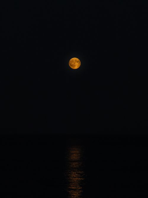 Free Captivating full moon shines over the ocean with shimmering reflection at night. Stock Photo