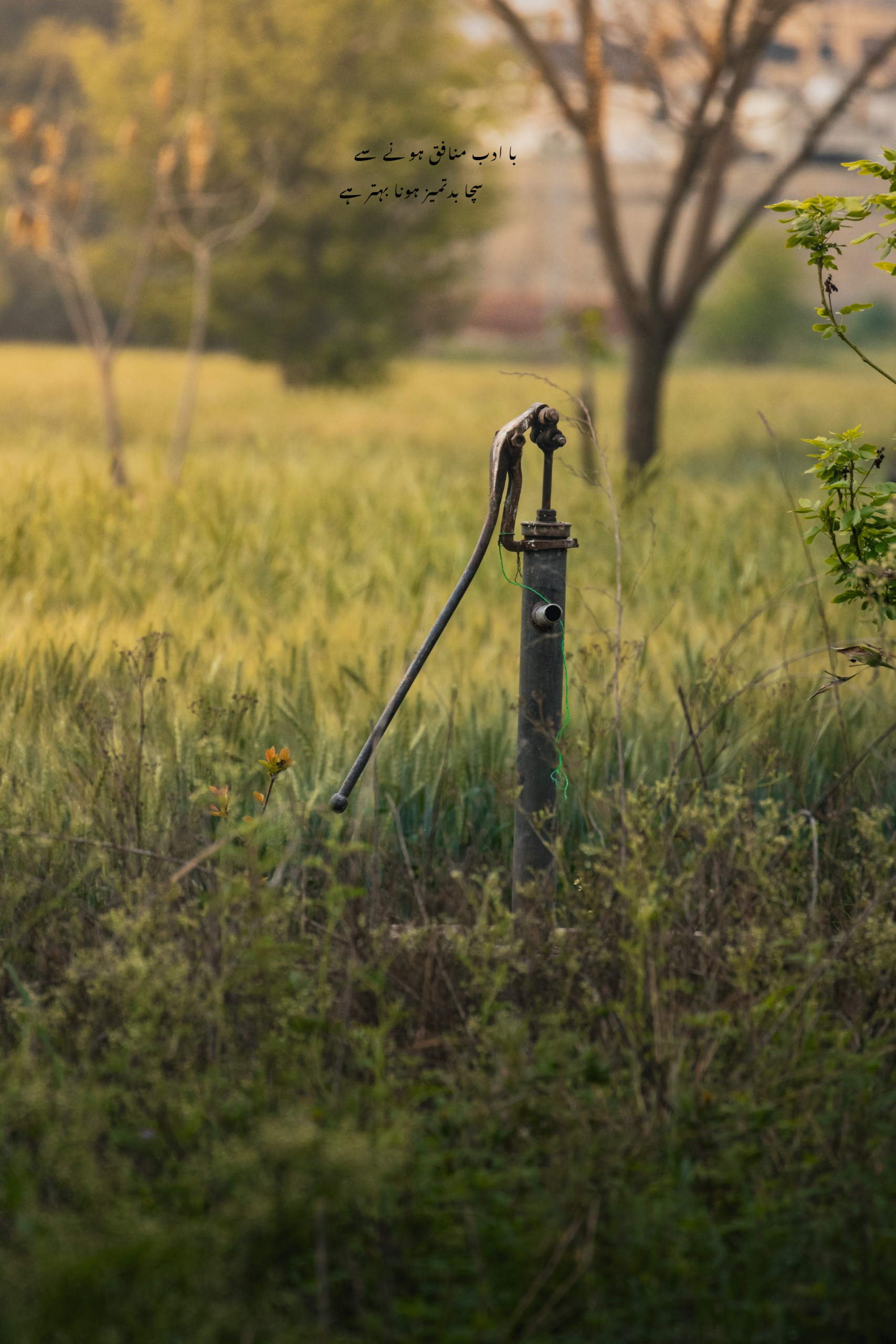 A solitary water pump amidst the lush greenery of a Pakistani field at sunrise.