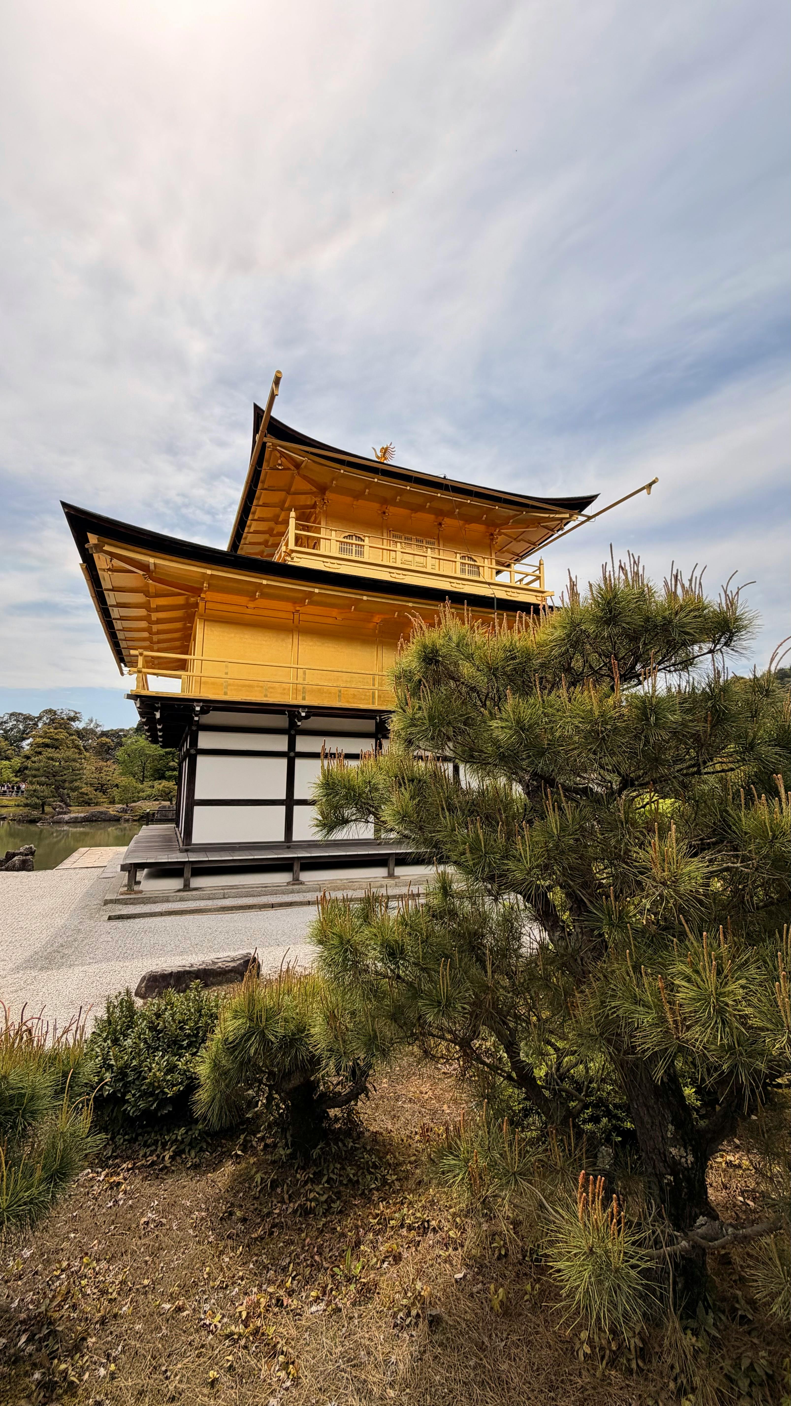 A serene view of the iconic Kinkaku-ji Temple surrounded by lush gardens in Kyoto, Japan.