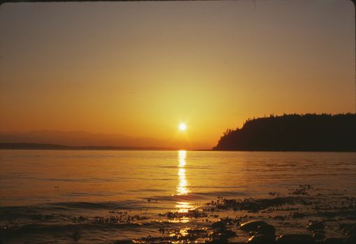 A serene golden sunset over Puget Sound, reflecting on calm waters.
