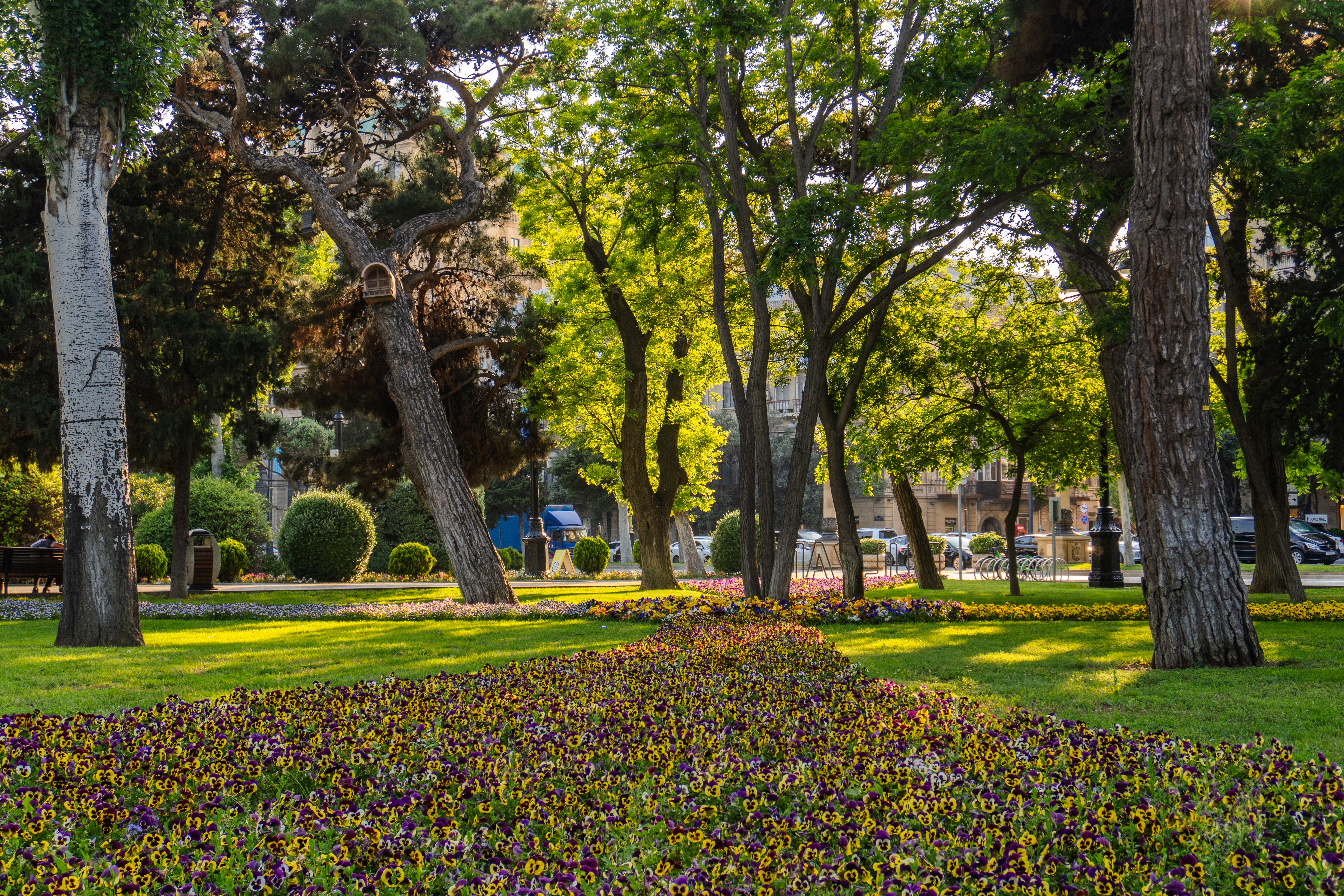 Opera park