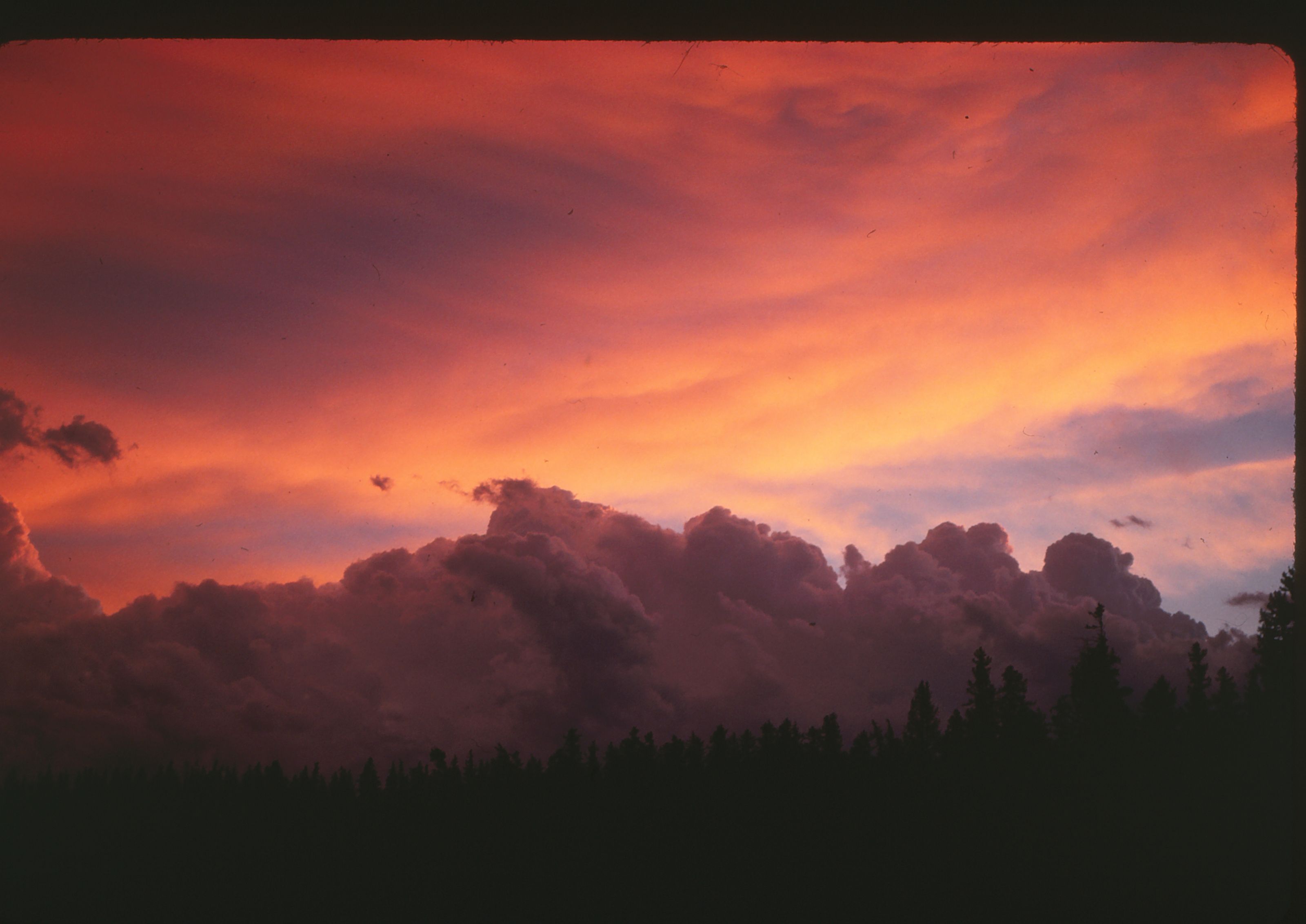 Stunning orange and pink sunset with dramatic clouds over Montana forest landscape.