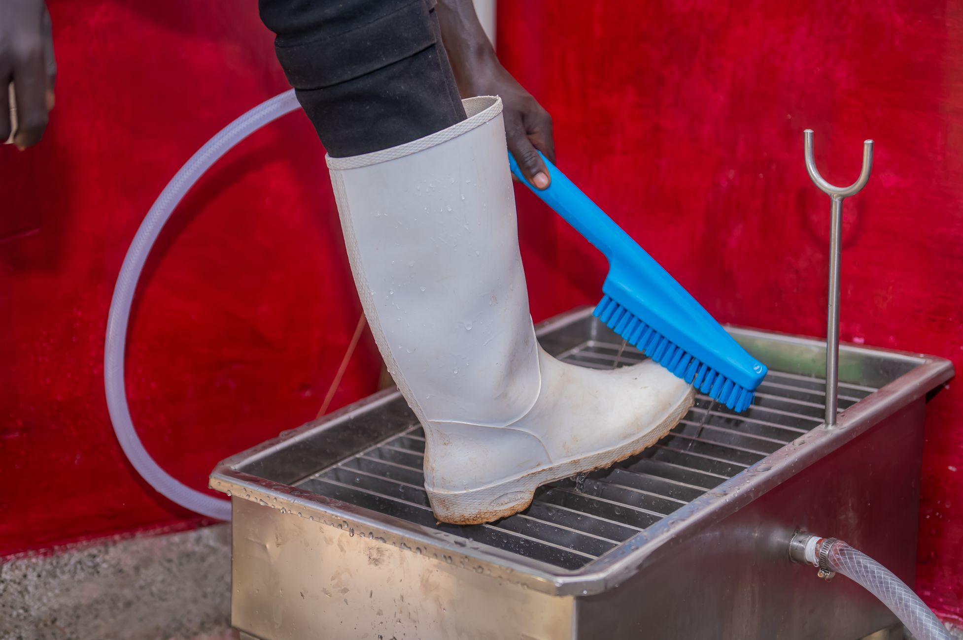 Person scrubbing boots with brush in a stainless steel wash basin in Eldoret, Kenya