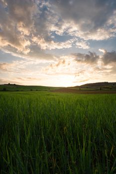 A tranquil green field under a dramatic sunset sky, showcasing rural nature.