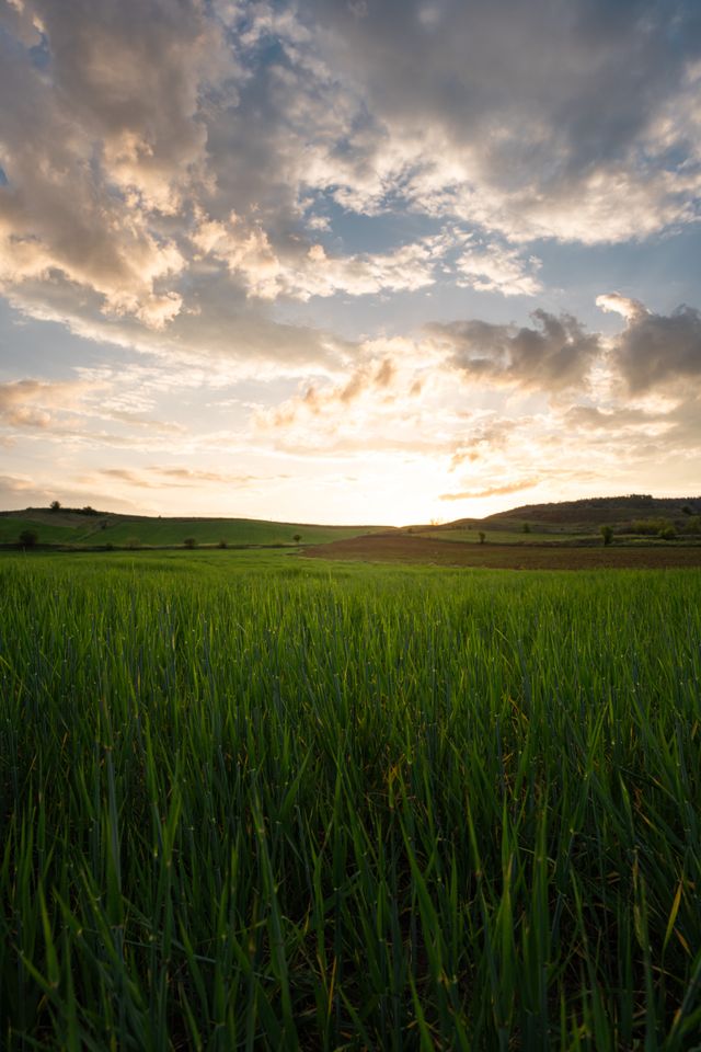 Agri Investment Plan 3