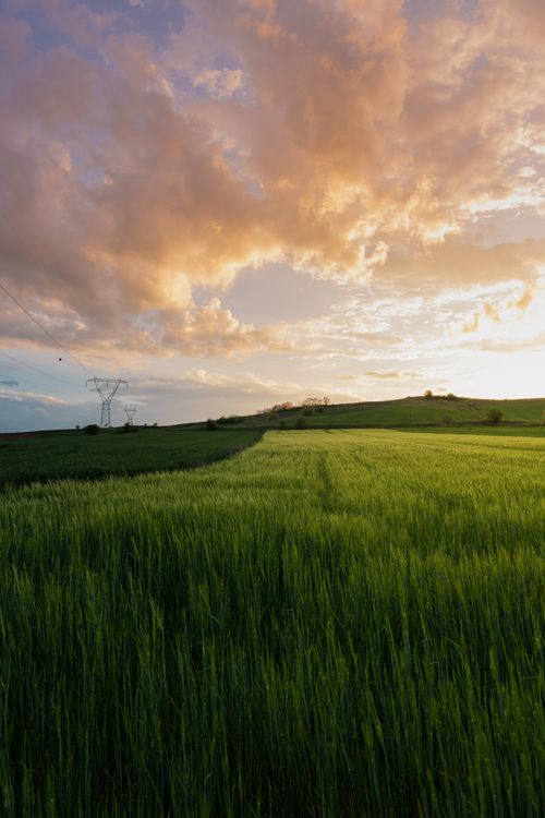 Free Idyllic landscape with green fields under a vibrant sunset sky. Stock Photo