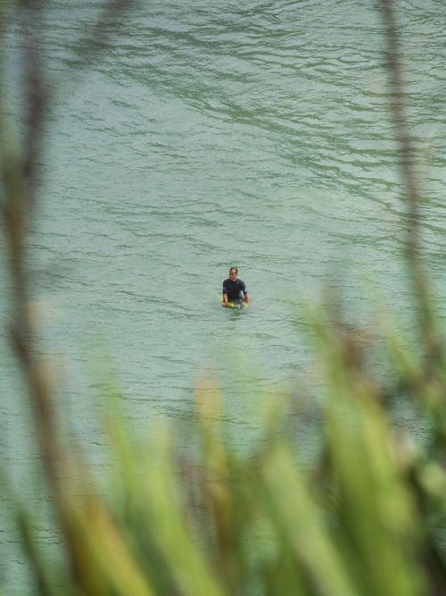 Free A solitary person swims in a calm ocean, surrounded by lush foreground foliage. Stock Photo