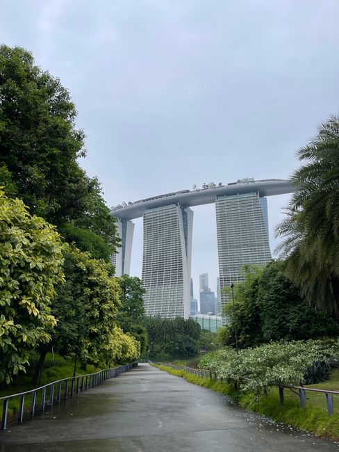 View of Marina Bay Sands from Gardens by the Bay with lush greenery on a cloudy day.