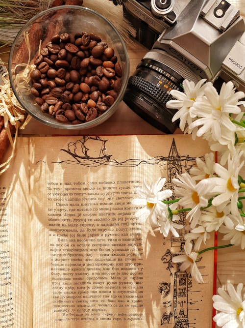 Free Open book near retro photo camera and coffee beans indoors Stock Photo