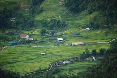 Free An aerial view of vibrant rice terraces surrounded by forests and small houses, shot during the day. Stock Photo
