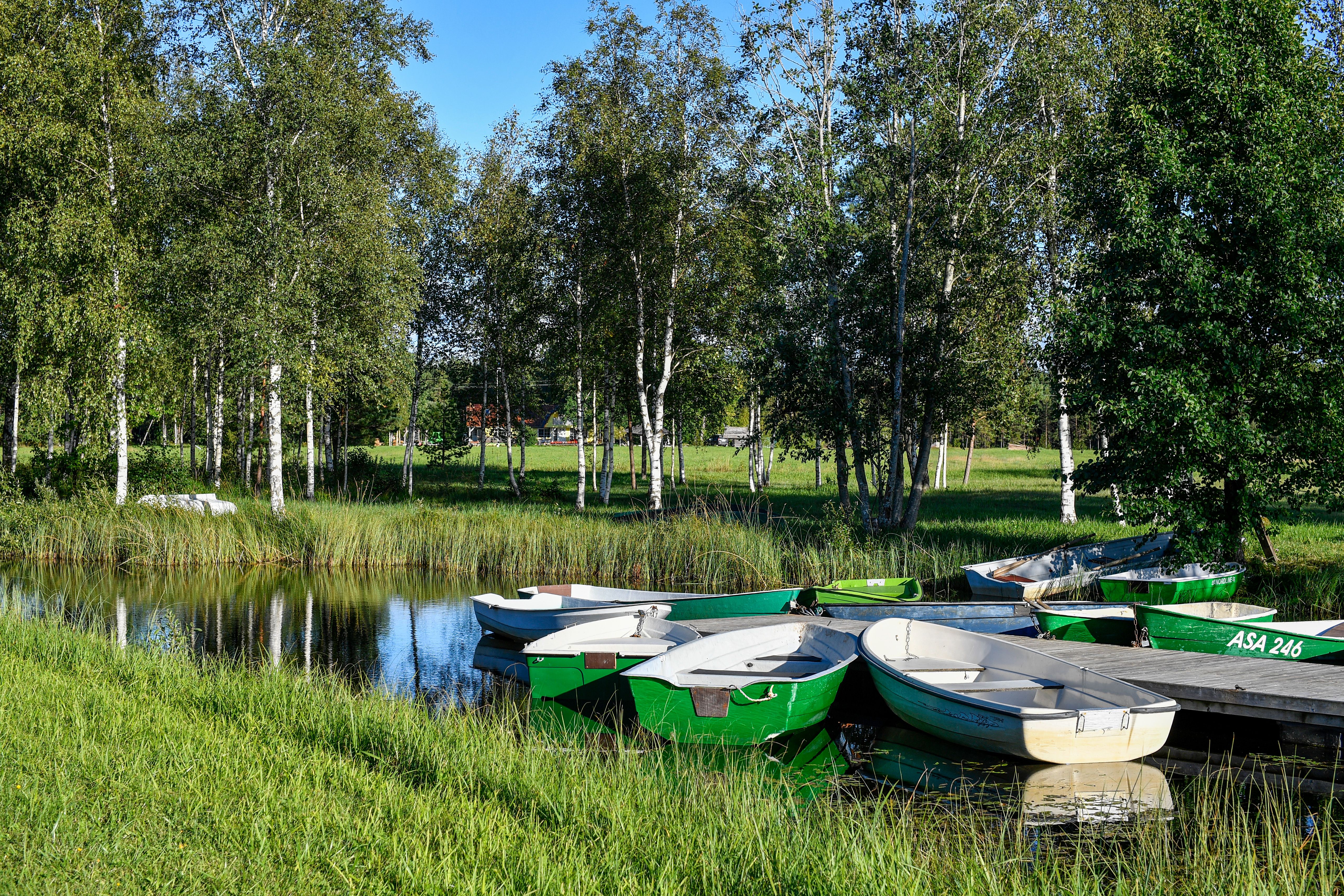 Idyllic summer scene with wooden boats by a pier in Espoo, Finland, surrounded by lush birch trees.