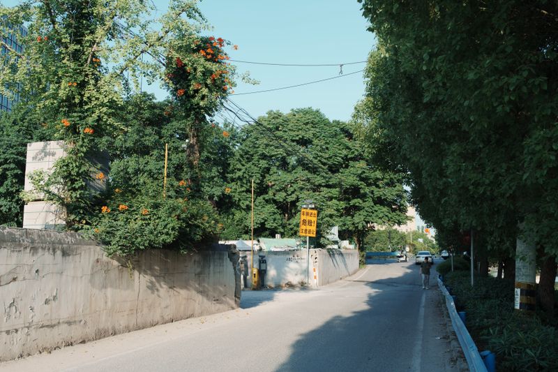 A vibrant street scene with lush greenery and a bright sign in a sunny urban environment.