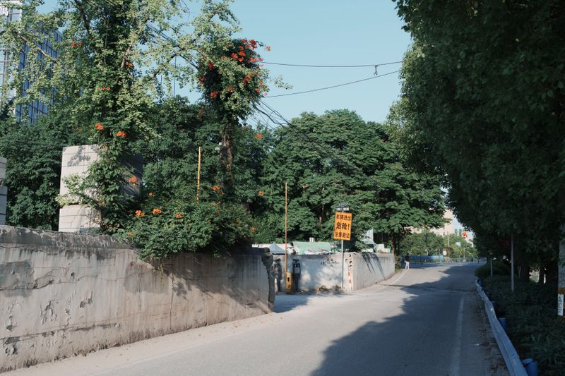 A quiet urban street lined with lush greenery and a prominent sign under the clear sky.
