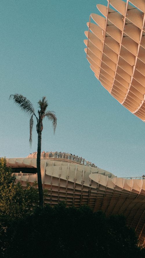 Free The striking architecture of Metropol Parasol with a palm tree at sunset in Seville, Spain. Stock Photo