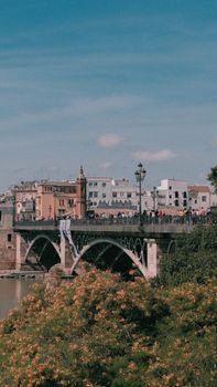 View of the historic Triana Bridge in Seville, Spain with vibrant spring foliage.