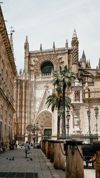 View of Seville Cathedral's Gothic architecture surrounded by palm trees in sunny Spain.