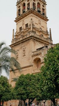 A detailed view of a historic bell tower surrounded by lush greenery, showcasing architectural beauty.