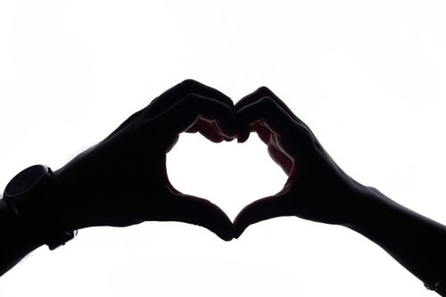 Free Artistic silhouette of hands forming a heart shape on a white background. Stock Photo