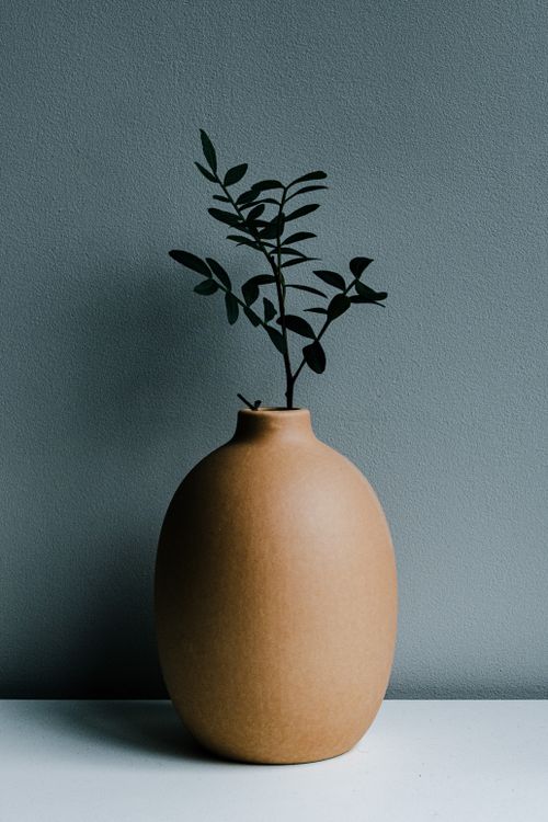 Free Elegant minimalist ceramic vase with a delicate leafy branch on a simple background. Stock Photo