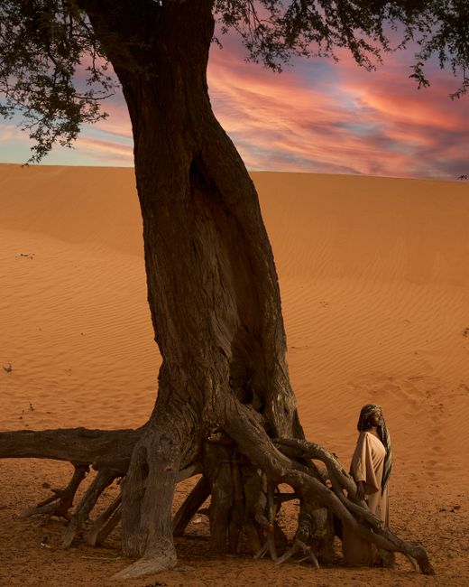 A lone figure stands by a large tree against a vibrant desert sunset in Yusufari, Nigeria.