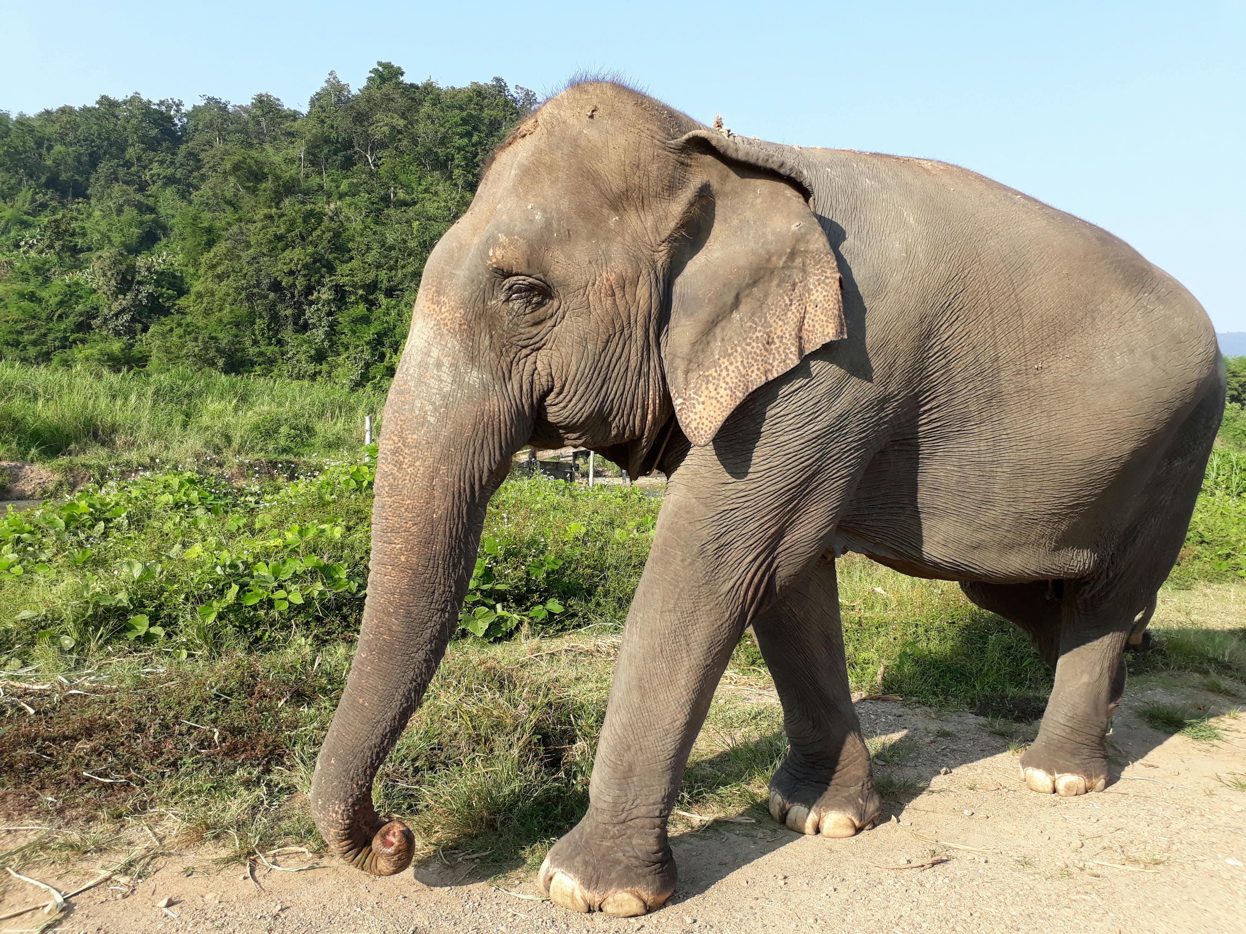 소아과에서 건강검진을 받는 아이와 부모