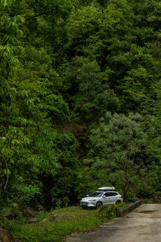 A silver SUV parked near a dense forest, providing a sense of adventure and travel.
