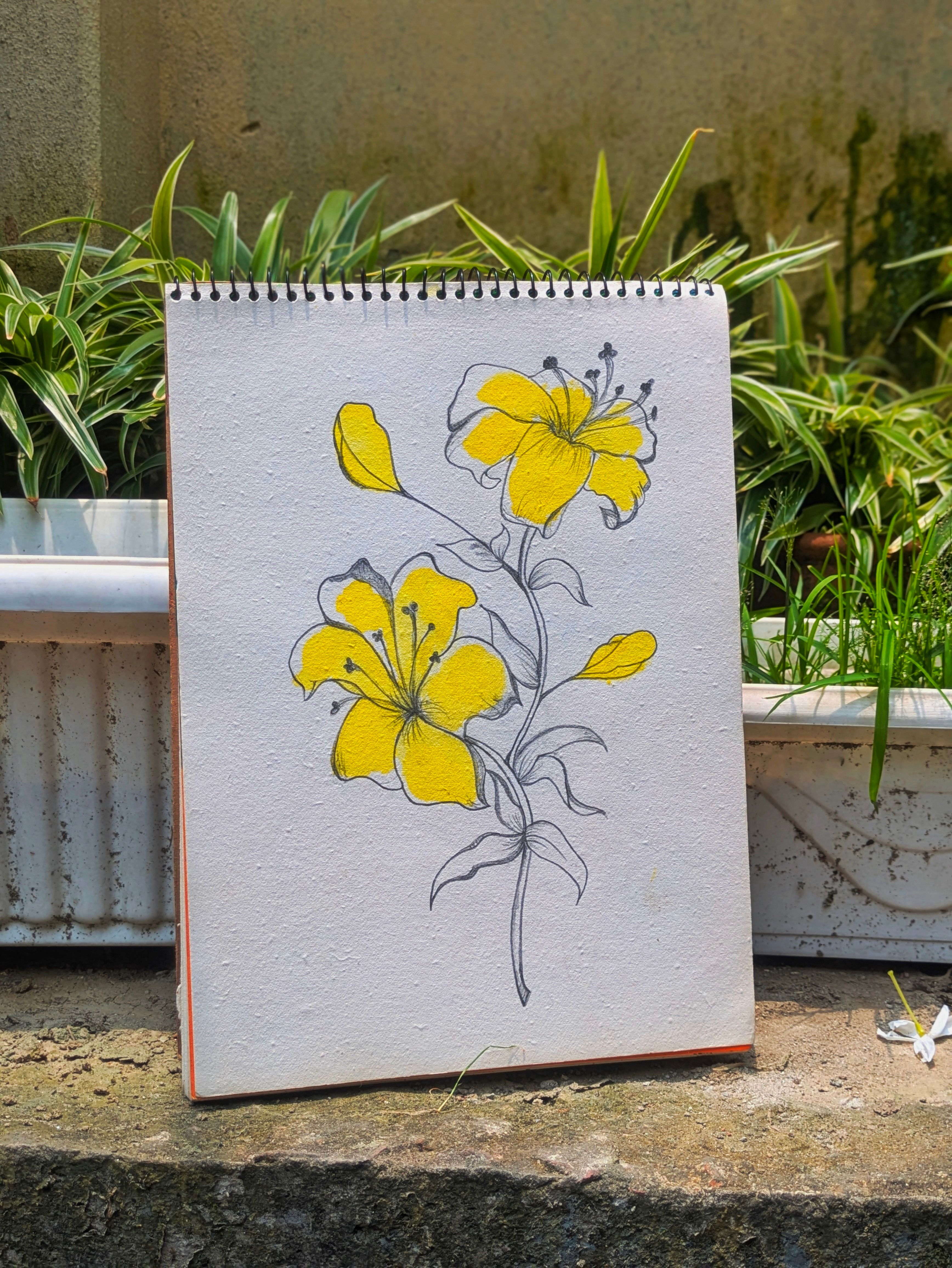 Artistic sketch of yellow flowers on paper placed in a lush garden setting.