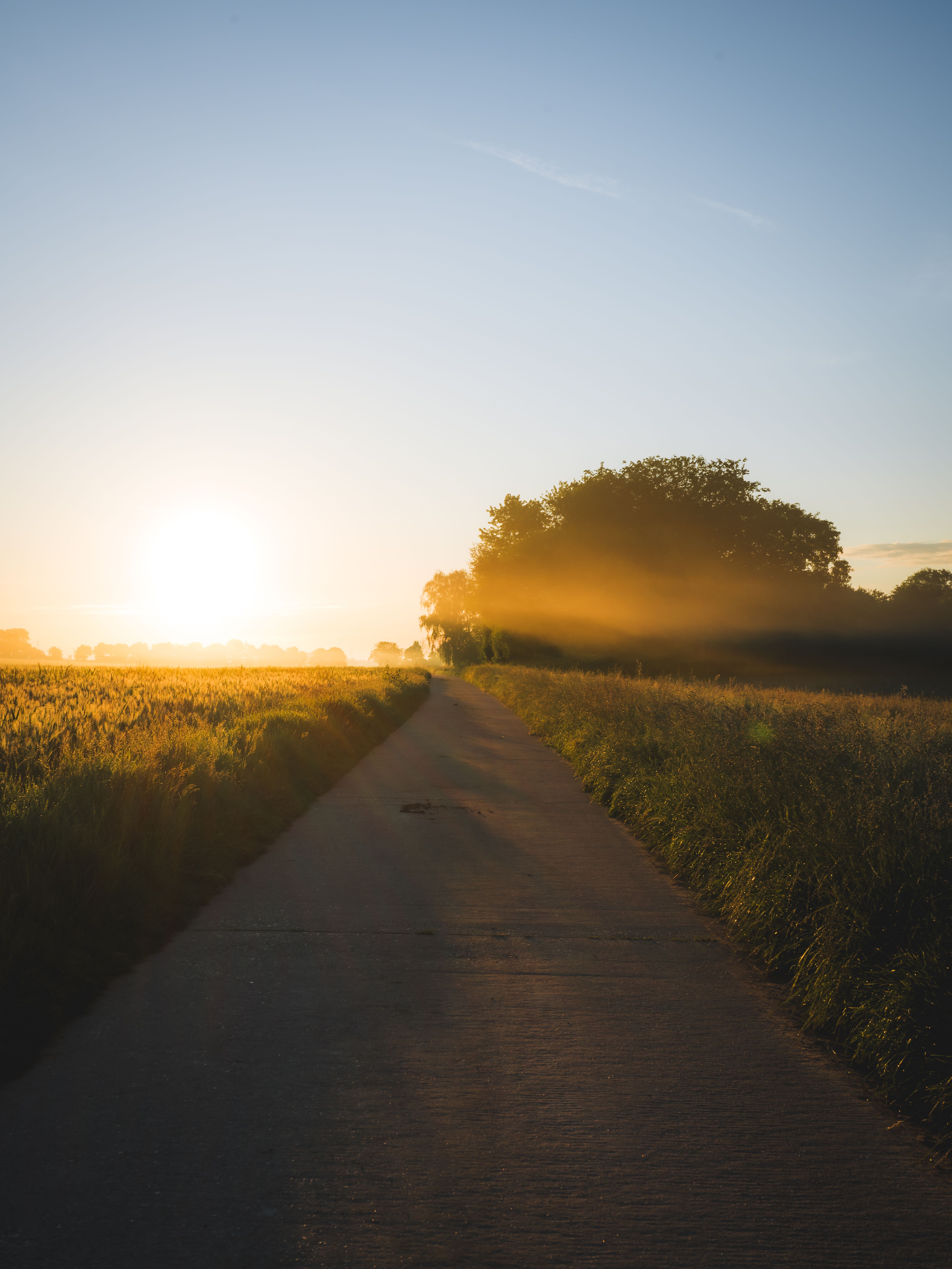 A serene country road leading through fields at sunrise, with warm sunlight casting gentle shadows.