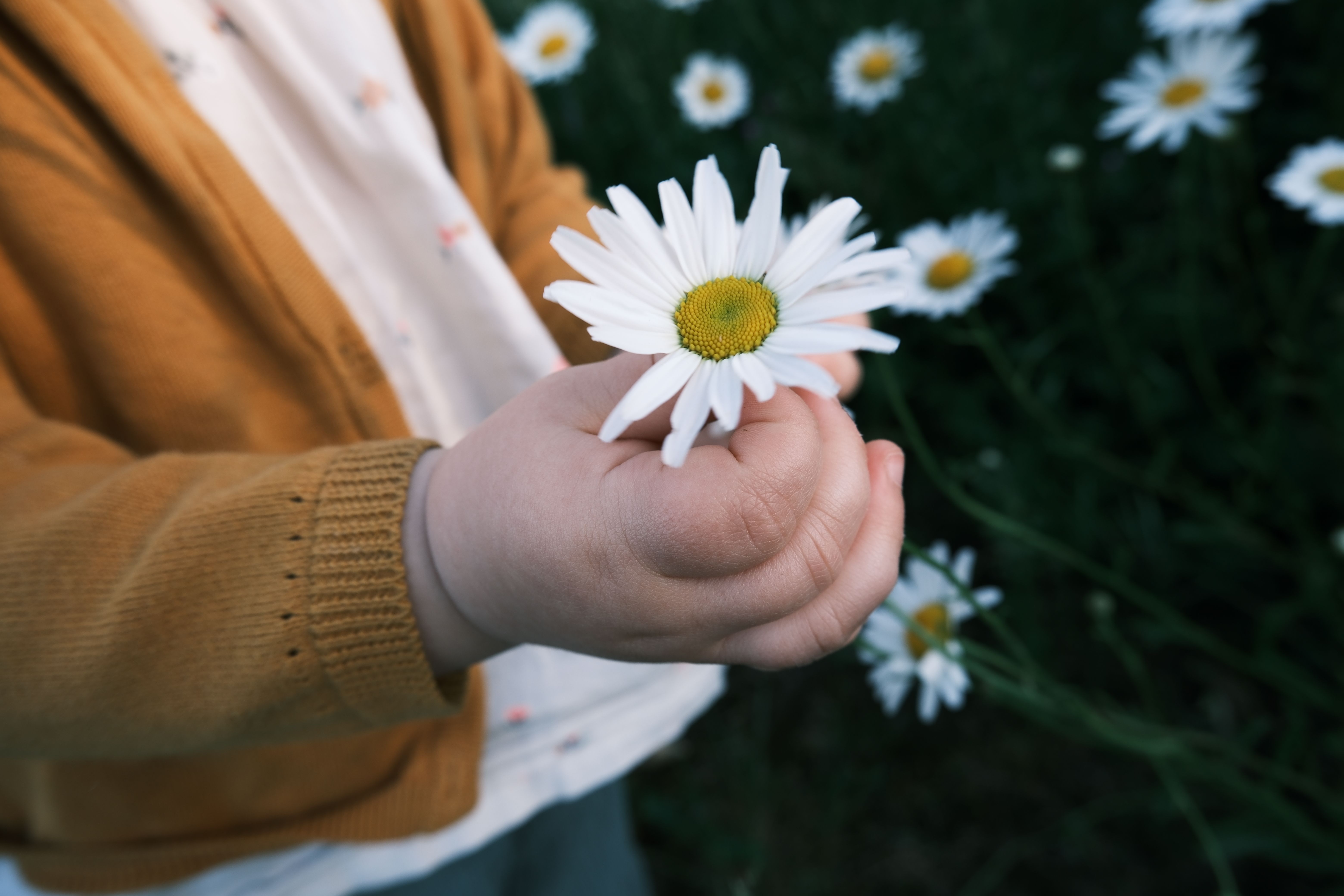 Lebensmittelverschluss für Tüten im Test
