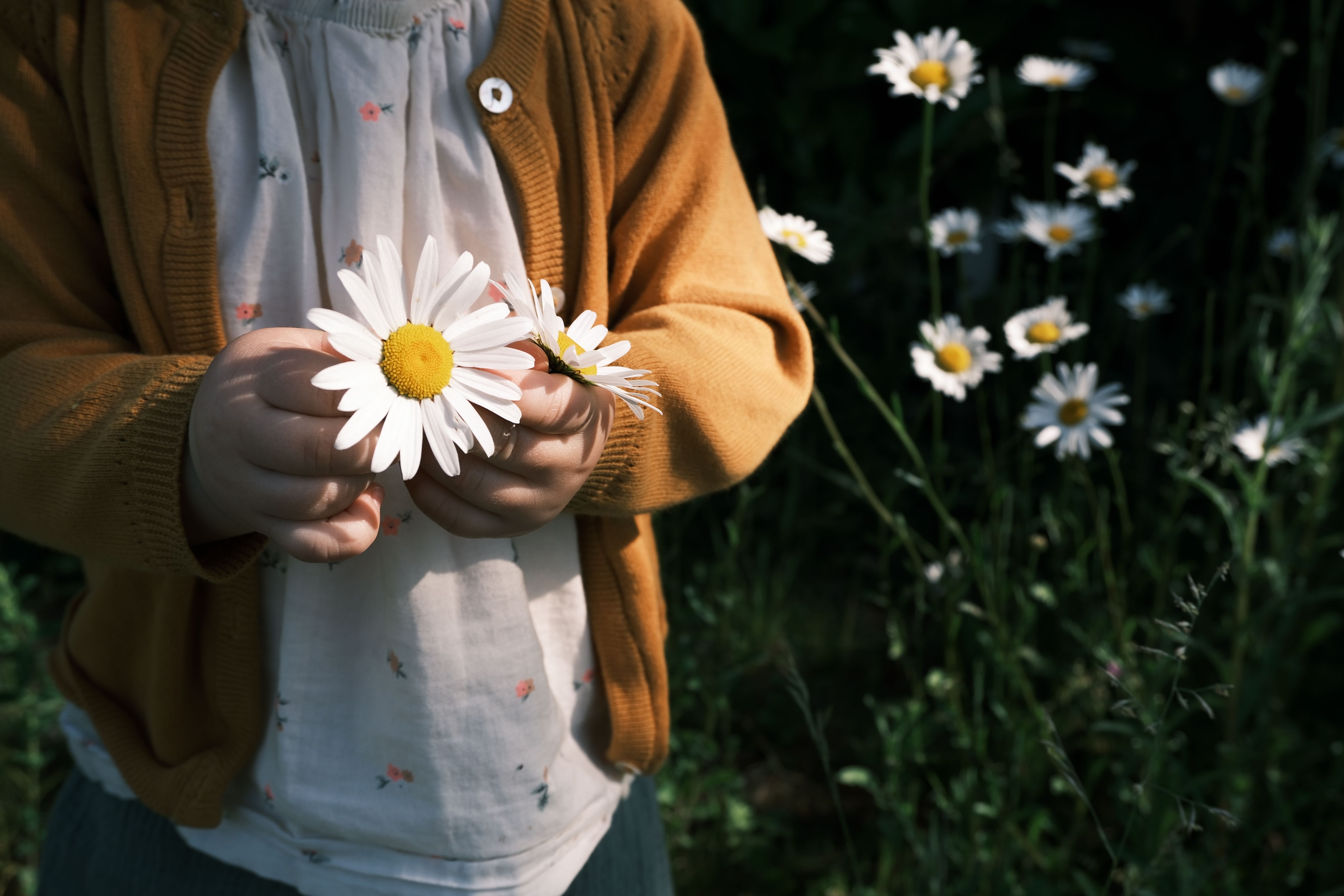 Plakatrahmen 70x100 im Test