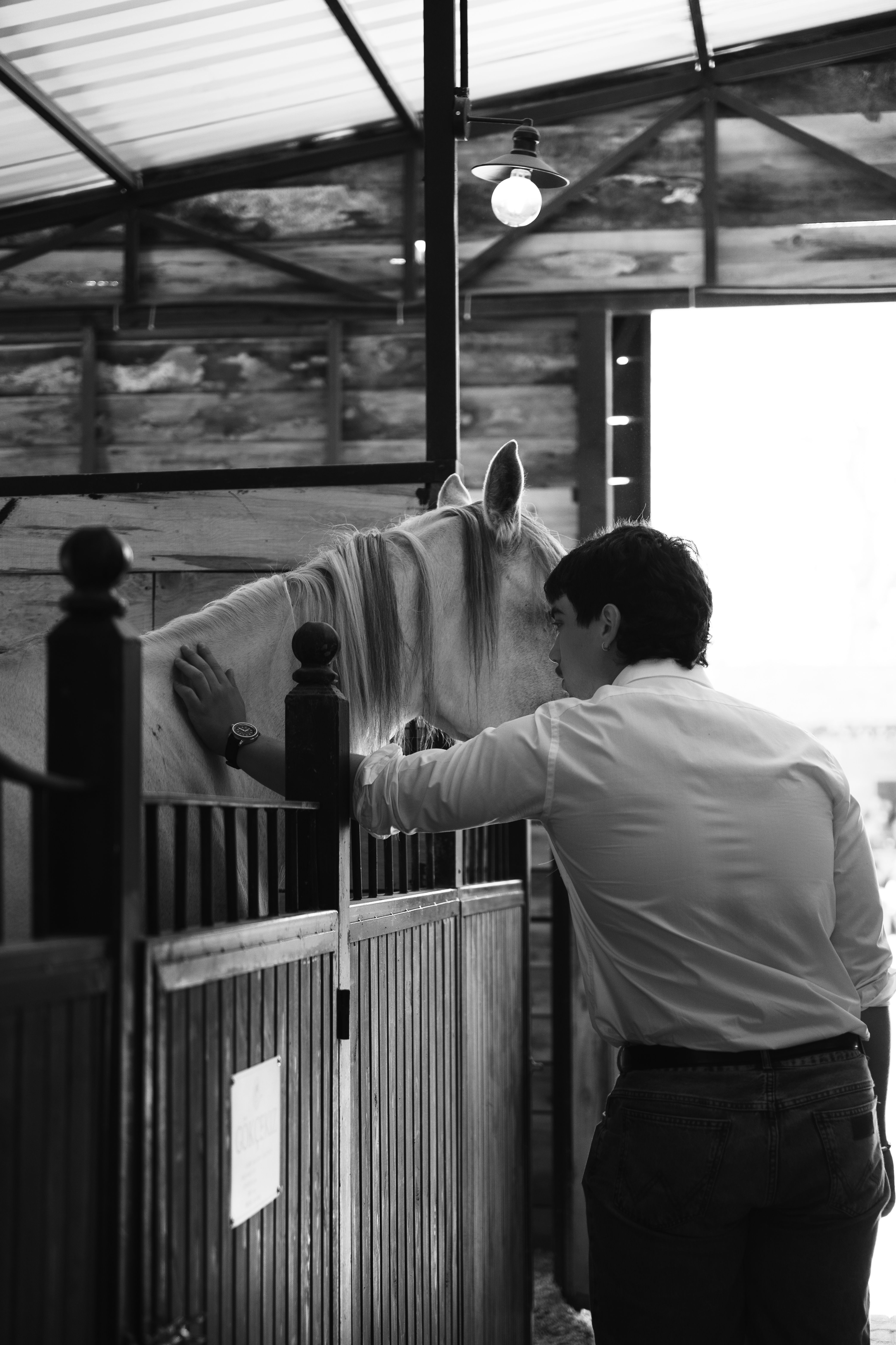 A heartwarming moment as a person lovingly interacts with a horse in a stable.
