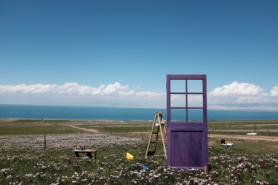 A whimsical purple door stands in a vast flower field overlooking a serene lake and sky.