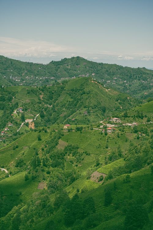 Free Scenic view of verdant hills and landscape in Rize, Türkiye. Stock Photo