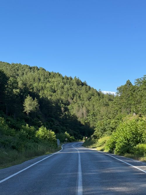 Free A picturesque mountain road winding through vibrant green forests under a clear blue sky. Stock Photo