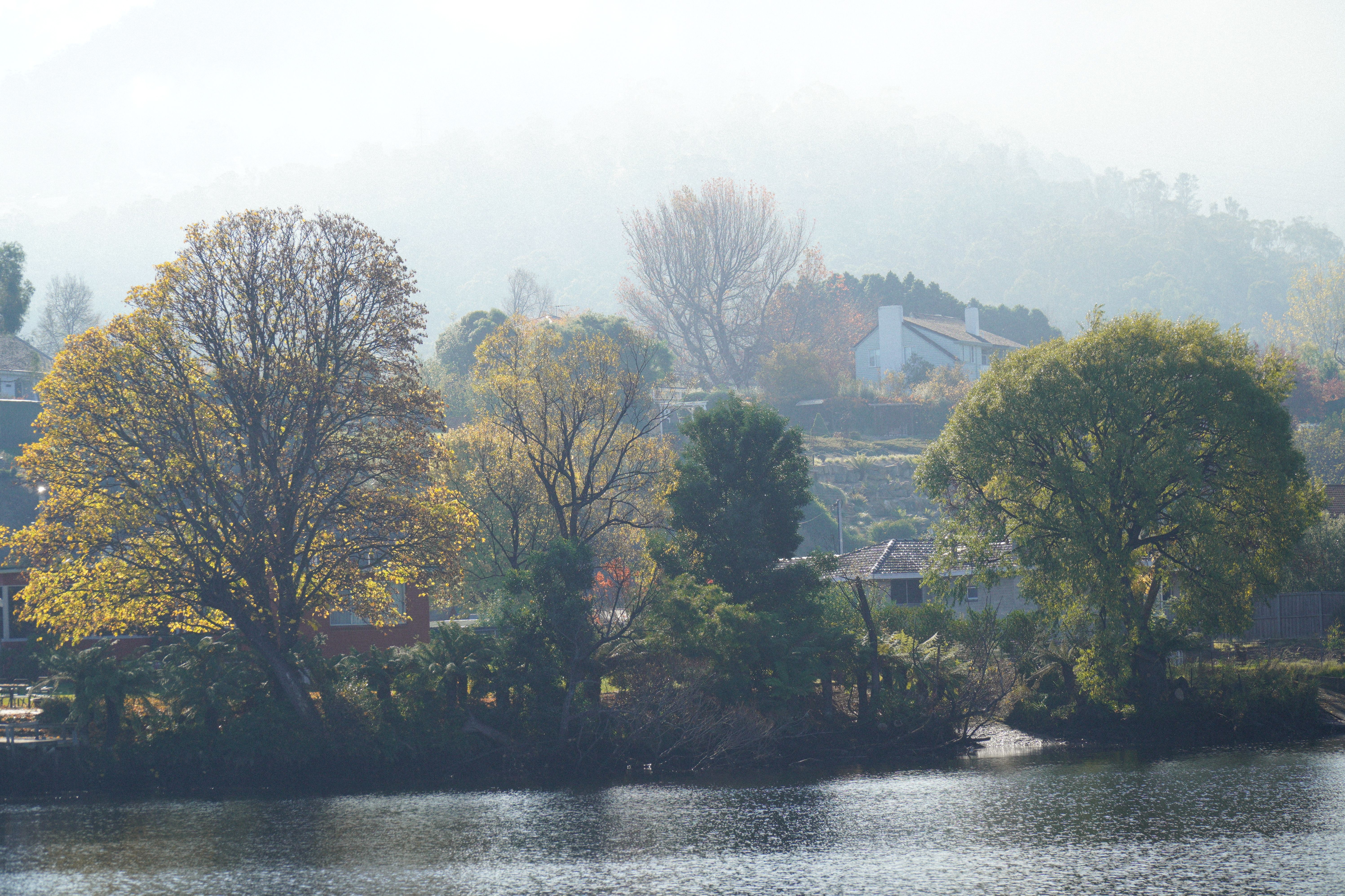 Serene river landscape with trees and houses on a misty day in New Norfolk, Tasmania.