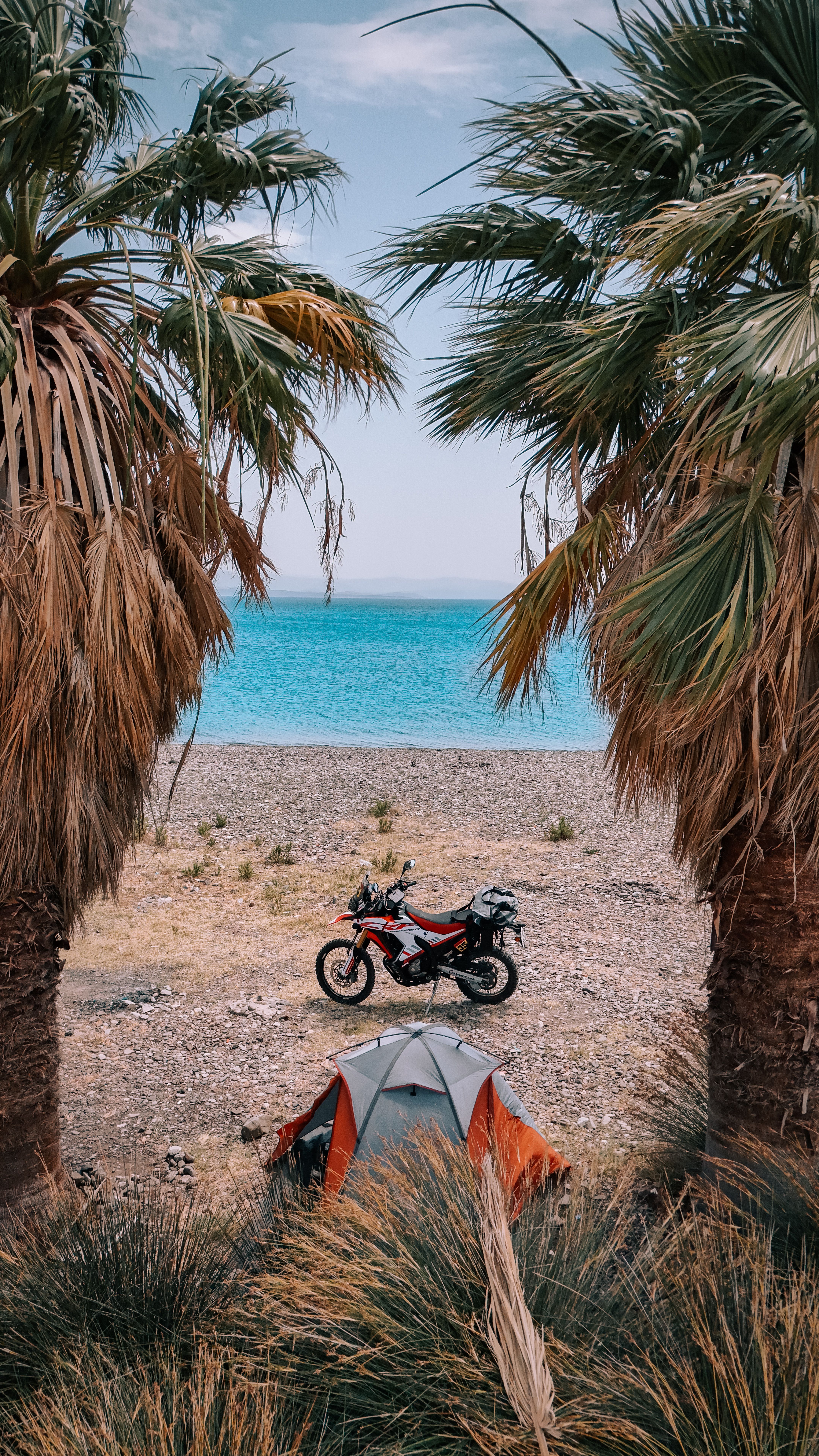 Scenic beachside camping with a motorcycle between palm trees in Karaburun, İzmir, Türkiye.