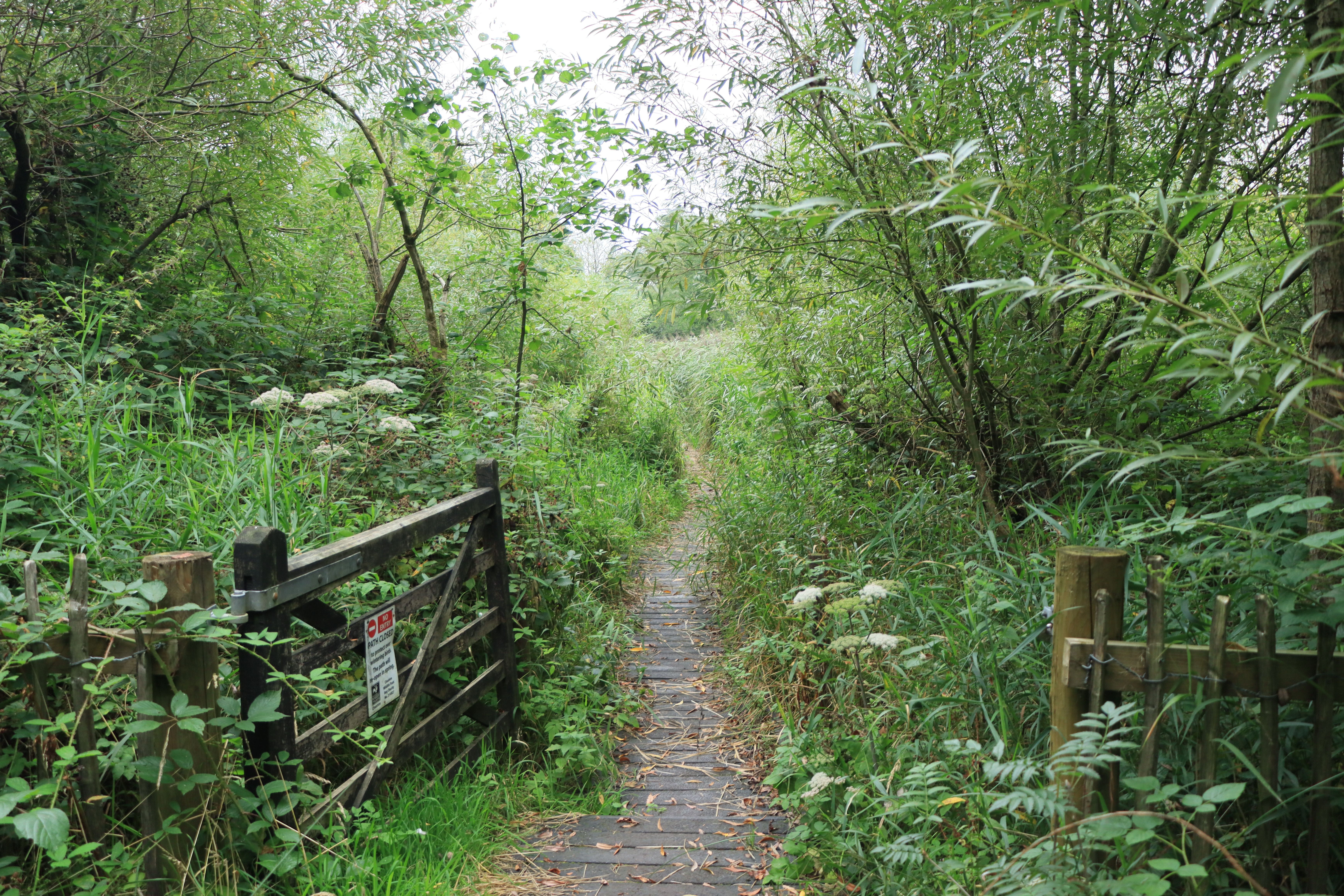 Nature reserve declared to coincide with King's visit