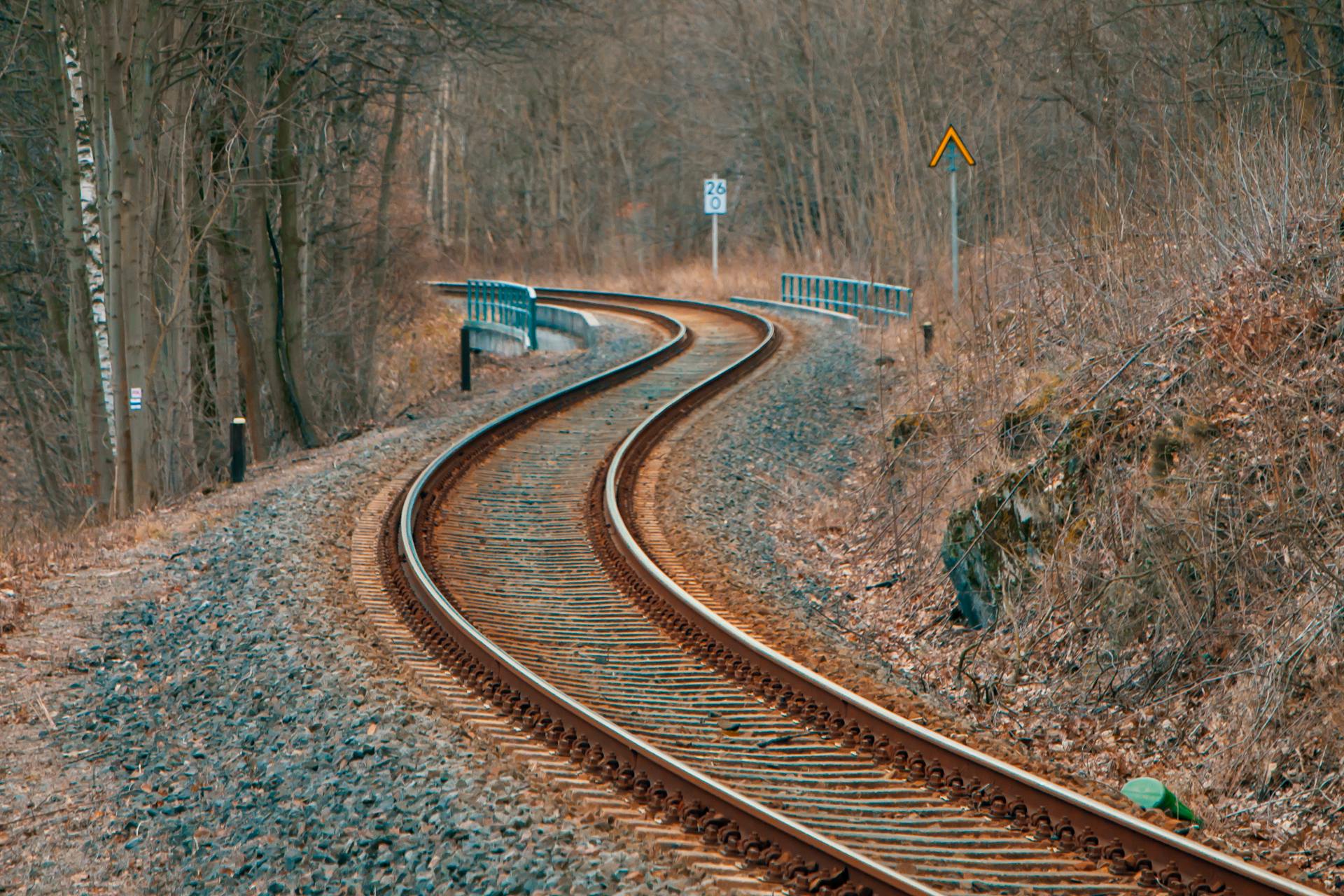 Curved railway tracks surrounded by bare trees during autumn, perfect for travel and transportation themes.