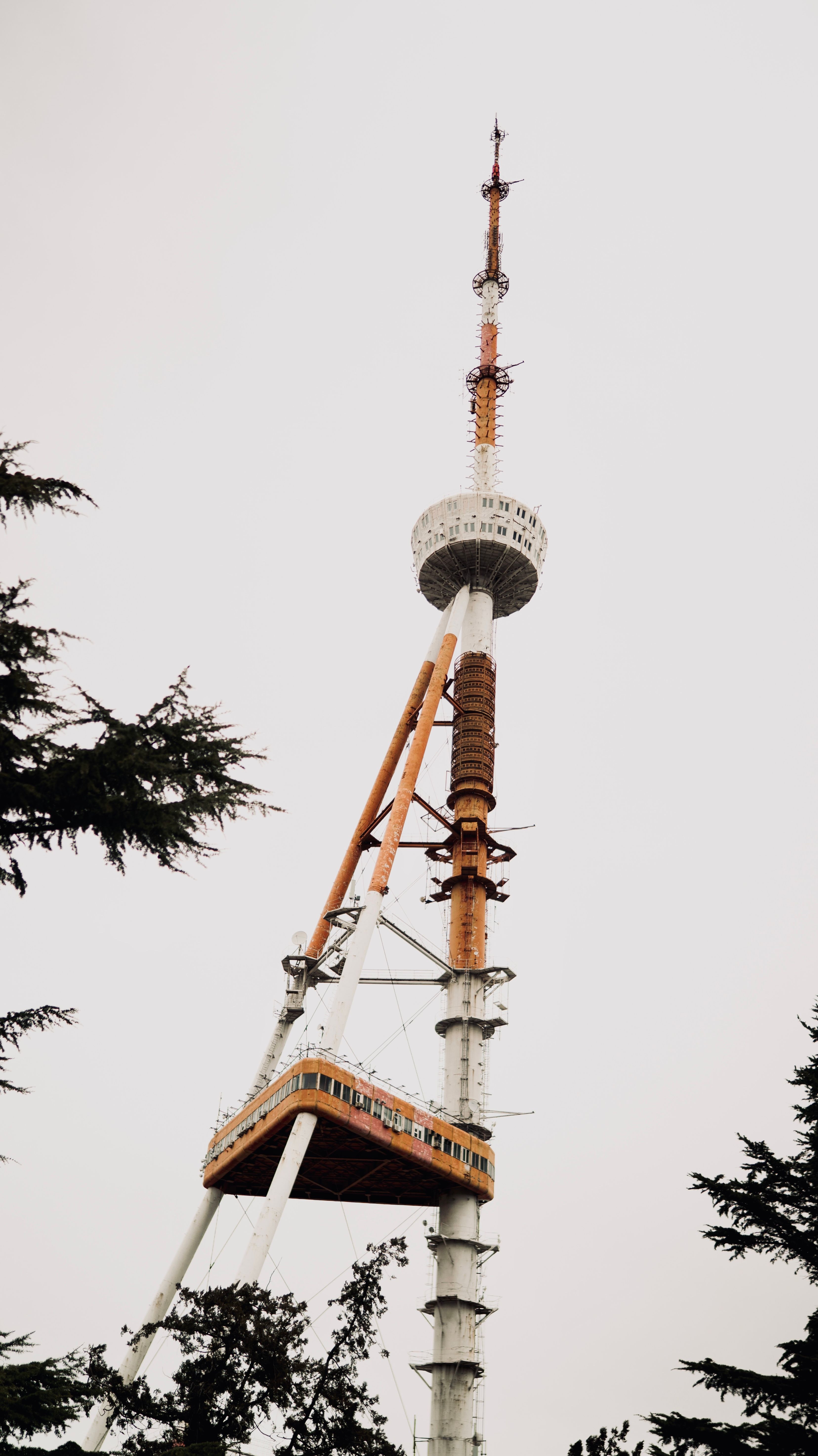 Tall Tbilisi TV Tower rises through fog, surrounded by trees against overcast sky.