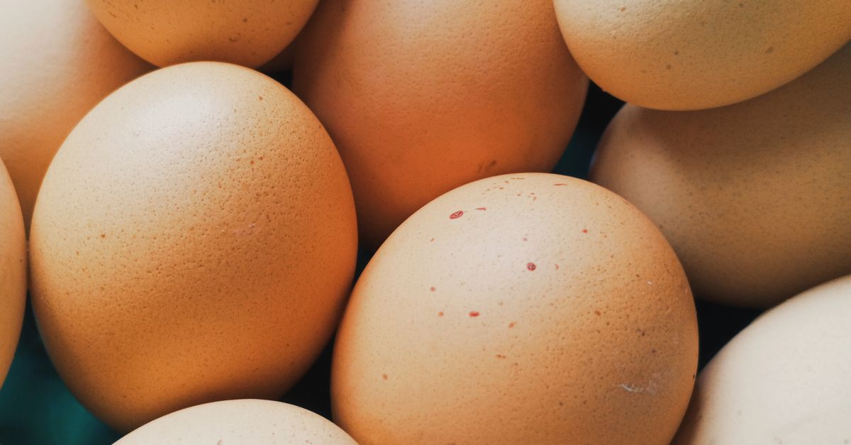 Salmón y otros pescados con alto contenido de vitamina D Salmón y otros pescados con alto contenido de vitamina D