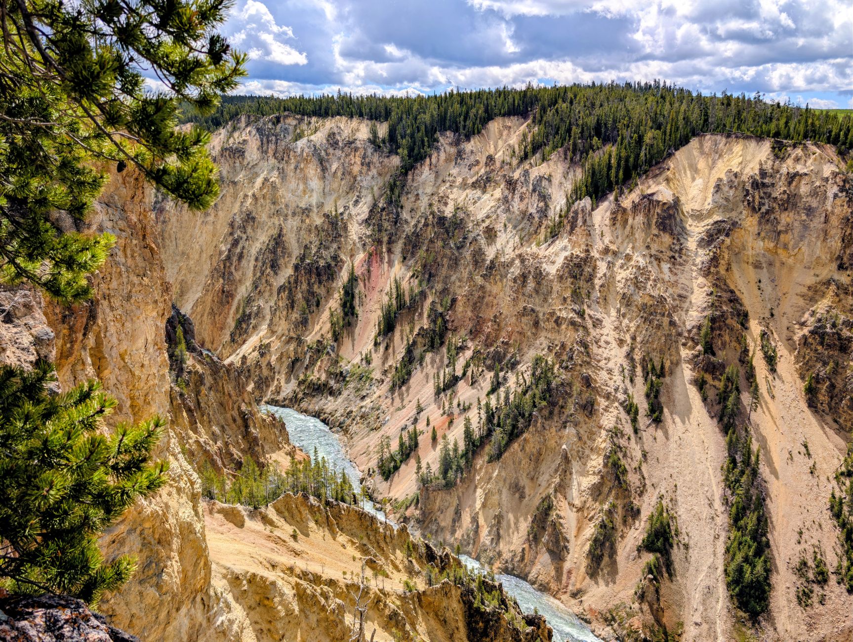 Yellowstone National Park photo 3