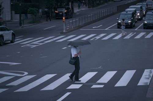Free A person with umbrella crossing a Tokyo street, cars stopped at zebra crossing. Stock Photo