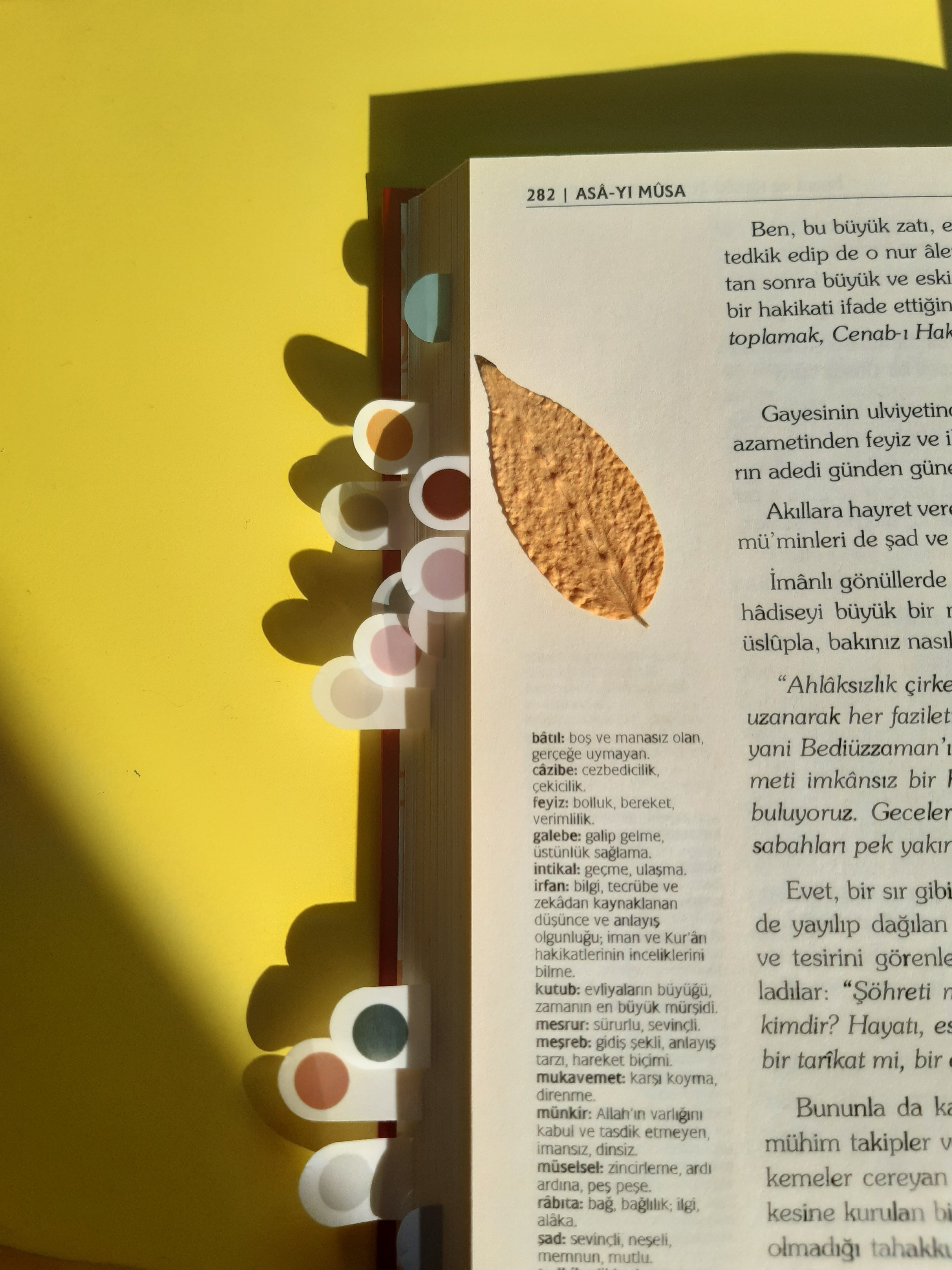 An open book with colorful tabs and a leaf bookmark on a yellow background.