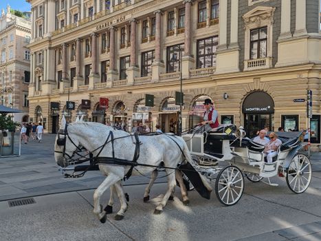 A horse-drawn carriage travels along a bustling street in Vienna, showcasing urban elegance.