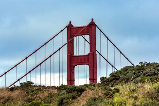 Close-up of the iconic Golden Gate Bridge with lush foreground and cloudy backdrop.