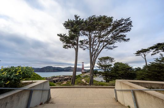Scenic view of the Golden Gate Bridge framed by Cypress trees with overcast sky.